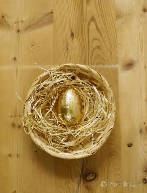 金蛋财富的象征