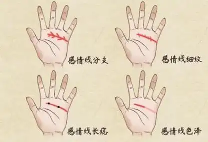 手相断法感情线的看法