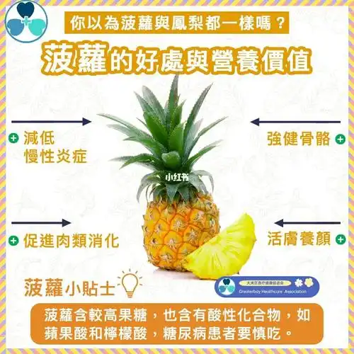 菠萝和苦瓜汁的功效与作用_菠萝果的功效与作用_雪菠萝的功效和作用
