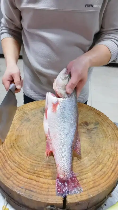 河鲈鱼清蒸改刀