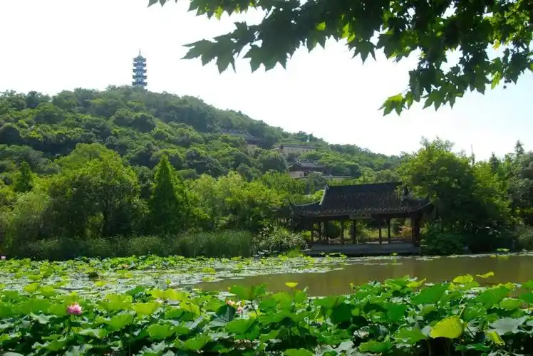 诸暨市区七大名山,你登过几座?