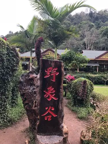 版纳美景篇—野象谷