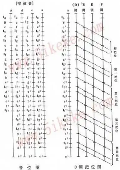 琵琶音位图,d调把位图
