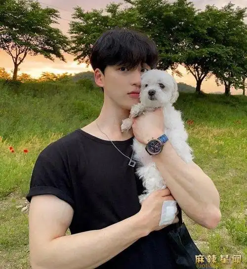 韩国90后男明星这15个小鲜肉有演技有颜值