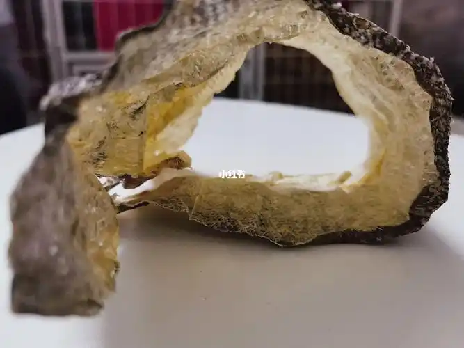 整张鳕鱼皮fisherman天然无添加低温烘干鳕