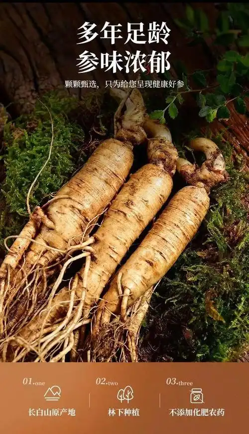 鲜参长白山新鲜人参带土圆参白参批发泡酒料煲汤大人参批发土特产