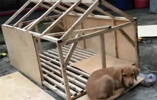 自制低成本狗笼别忽略时间成本哦