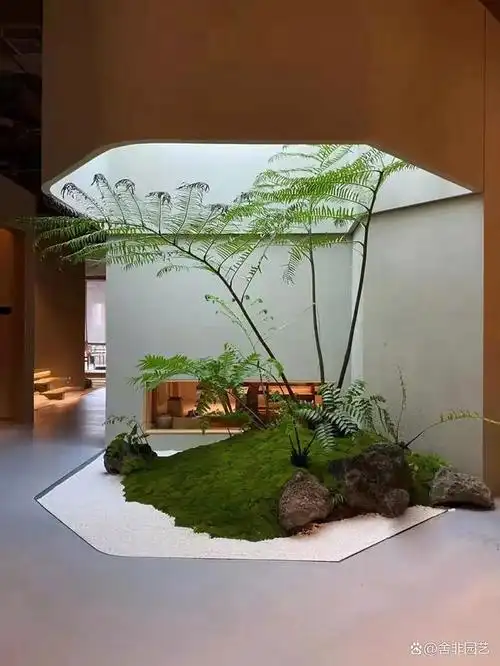 室内景观设计把花园搬到家里在室内一角用心地去装饰营造自然而舒适的