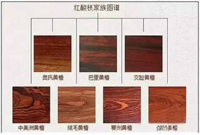 巴里黄檀和奥氏黄檀有什么区别?