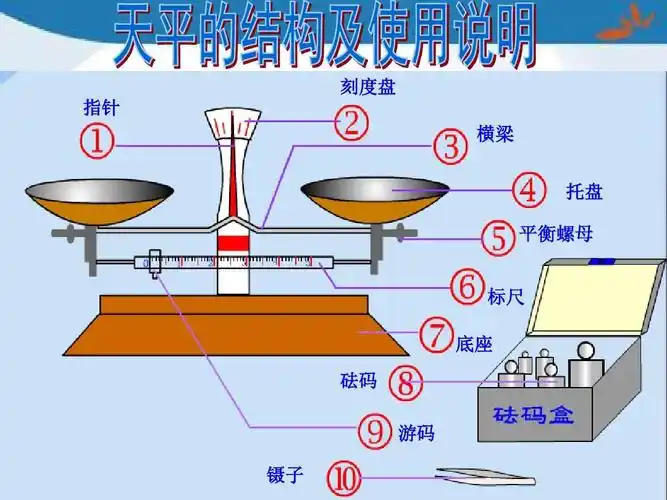 2016最新青岛版数学三年级上册第一单元《动物趣闻 克