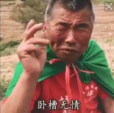 出自快手,是快手网红"二龙湖二哥"说的,这个老大爷说话非常风趣幽默