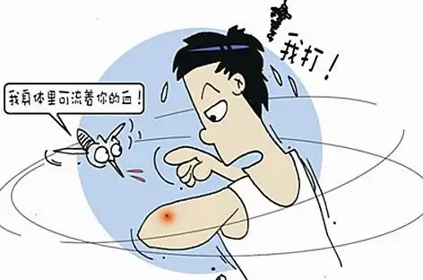 韶关蚊子防治方案