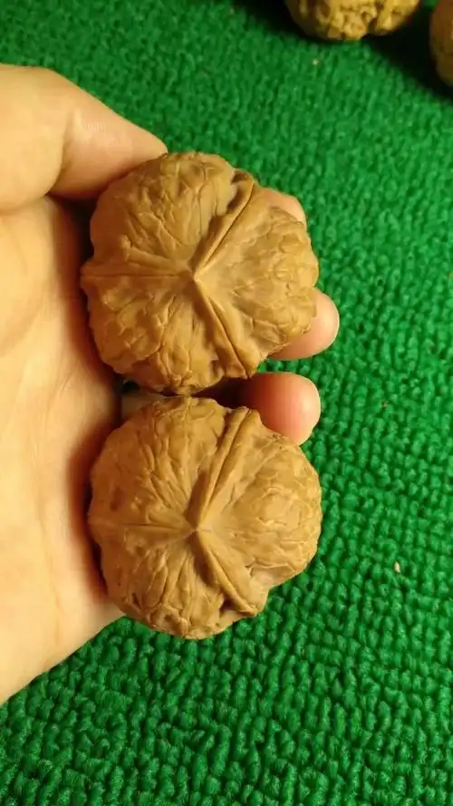 云南纯野生铁核桃三棱正奔