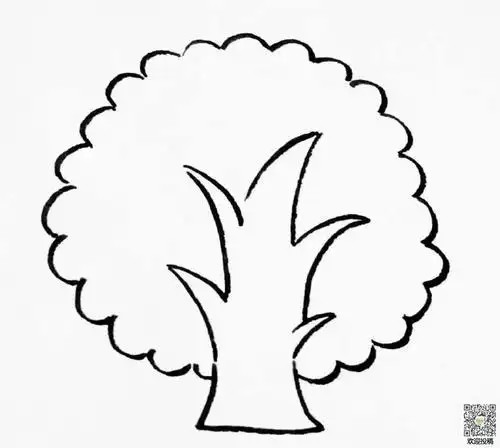 校园的一棵树简笔画