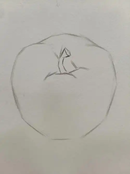 单个苹果塑造,步骤,简单清楚明确……揉擦忘记拍了#画画  #素描静物