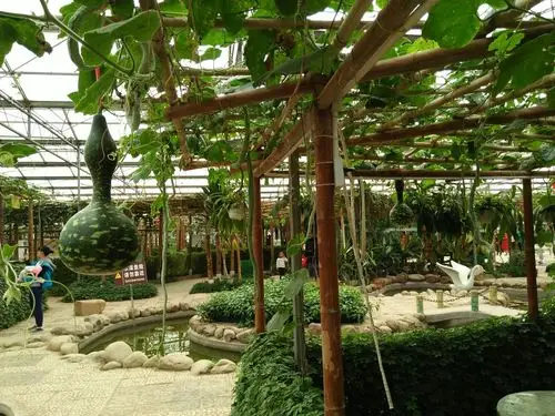 周末出去走走之地铁1号线,再游八桂田园,南宁自助游攻略 - 马蜂窝