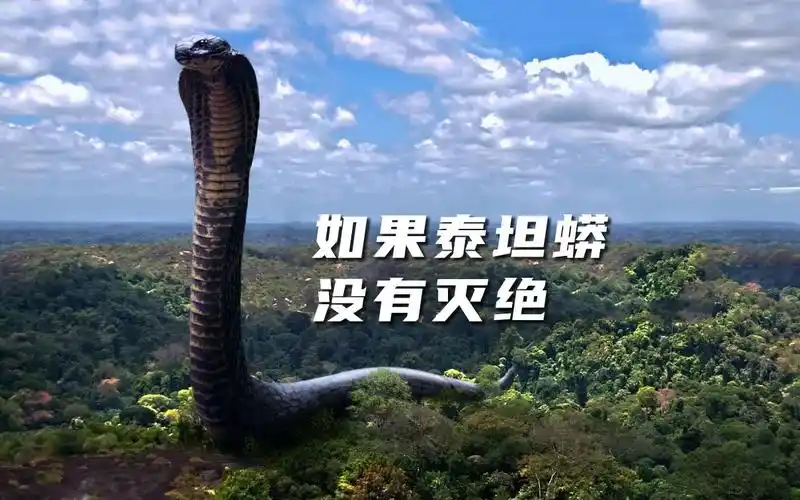 科普如果泰坦巨蟒没有灭绝会发生什么科学家不排除泰坦巨蟒重新复活的