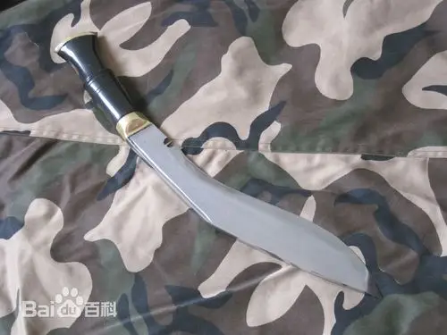 火蓝刀锋 no_records 蒋小鱼: 蒋小鱼