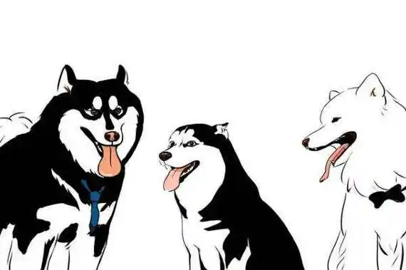 雪橇"三傻",你最中意谁?