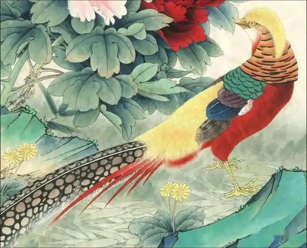 【国画教程】红腹锦鸡设色技法_白粉_黄色_步骤