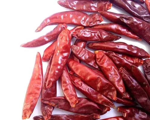 【朝天椒】一般辣度干辣椒微辣供应出口厂家批发辣椒干红辣椒干