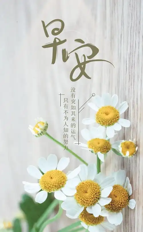 精美暖心早安短句 每天早安励志一句话-早安心语