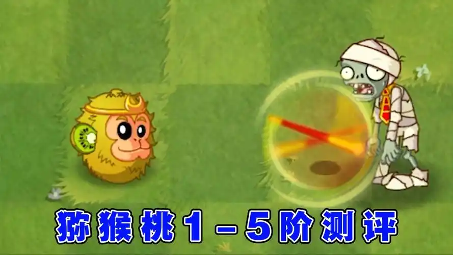 植物大战僵尸:史上最帅的猕猴桃1-5阶测评!