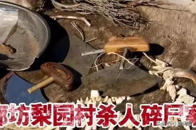 廊坊杀妻剥皮案出轨妻子被杀后做成红烧肉送给丈母娘吃