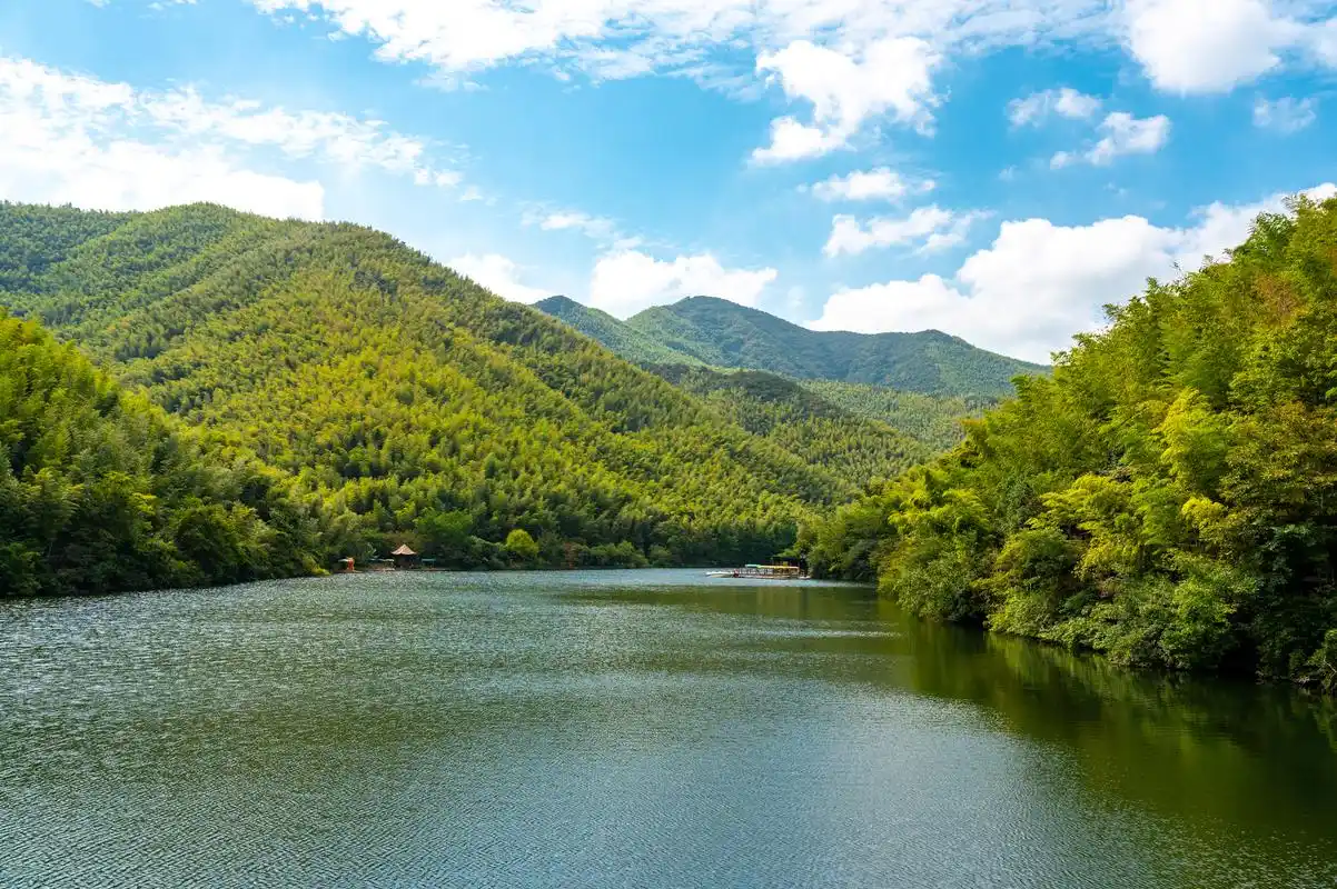 到溧阳旅游必打卡的景点,坐拥3.5万亩翠竹,国庆节度假好去处
