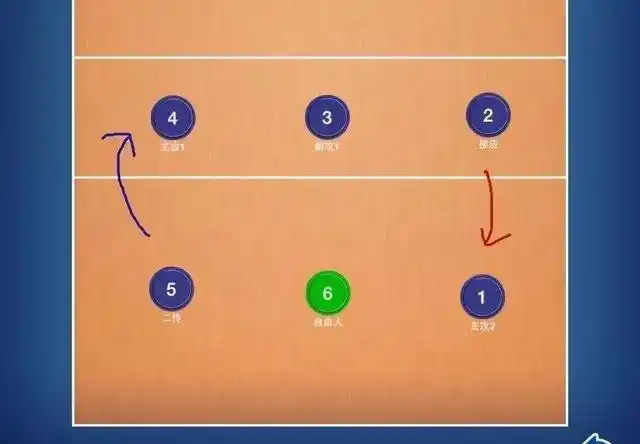 排球比赛中,自由人是干什么的?