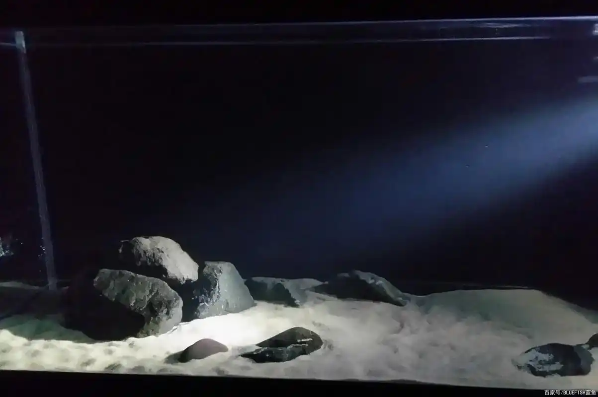 鱼缸过滤材料黑色火山岩的特点