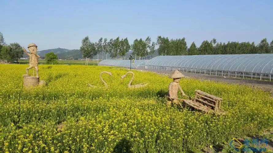 休闲观光农业的发展现状,西江休闲观光农业的发展妙招