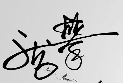 大师 帮我设计个签名呗 多要几种 我的名字叫 庞攀