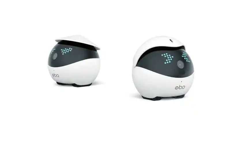 【2020 红点奖】ebo catpal / 宠物机器人 - 普象网