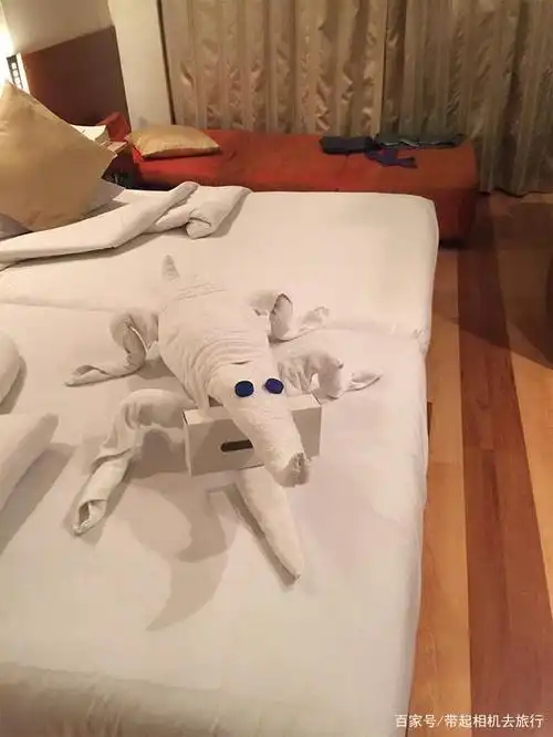 网友晒入住酒店后发现的"毛巾惊喜":高手在民间