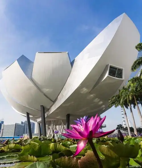 以下是新加坡旅游攻略的详细介绍,帮助你