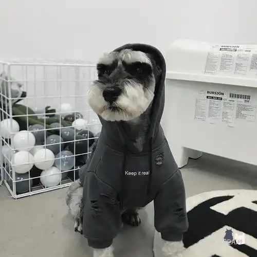 cream x chrrota宠物潮牌雪纳瑞法斗狗狗秋季连帽破洞卫衣优惠券