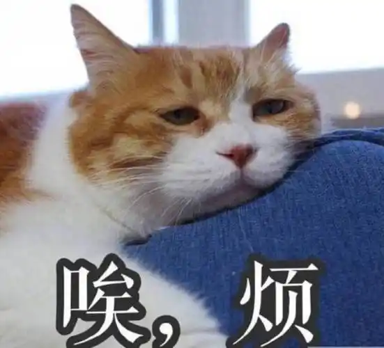 姨妈疼只能多喝热水直男真的看不出女孩子的痛吗