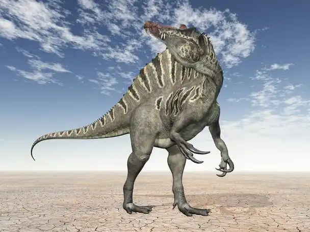 最大型的陆生肉食性恐龙之一棘龙