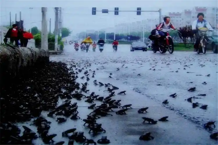 2008年的时候在我国四川省的汶川县就发生了一场超过8级以上的大地震