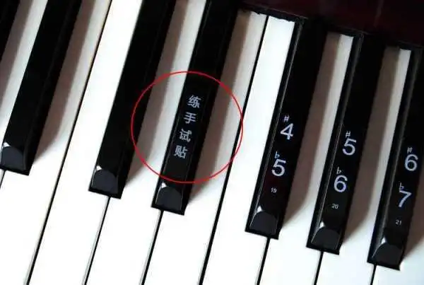 钢琴上的黑键是怎么用的,具体说一下?