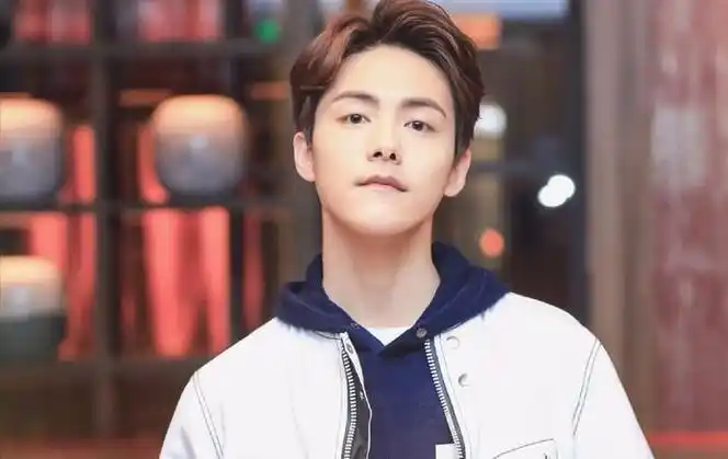 好男儿》逆转,成名至今不婚不育|马天宇|加油!好男儿_新浪新闻