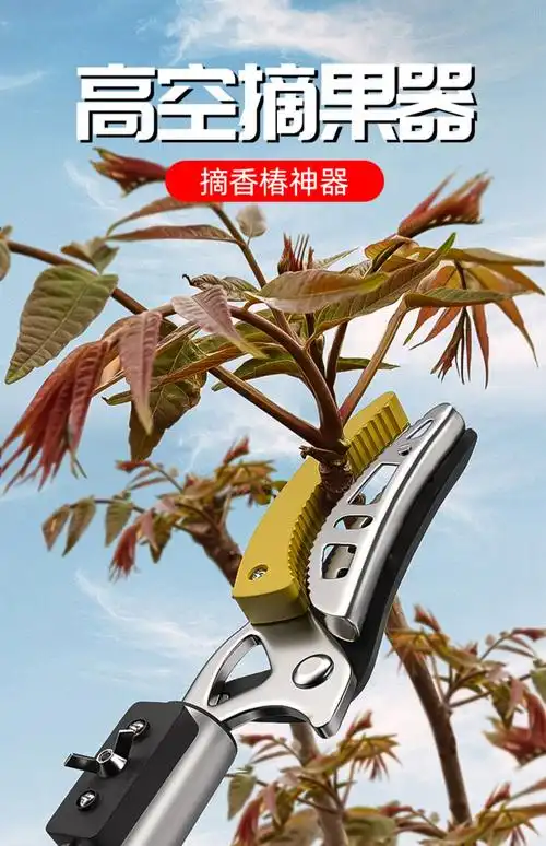 摘果神器10米 摘枇杷神器 采果神器 摘摘水果采摘香椿枇杷采果芒果