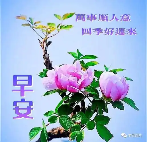 早上好温馨问候语动态表情包图片,早安祝福语问候语大全|快乐|幸福