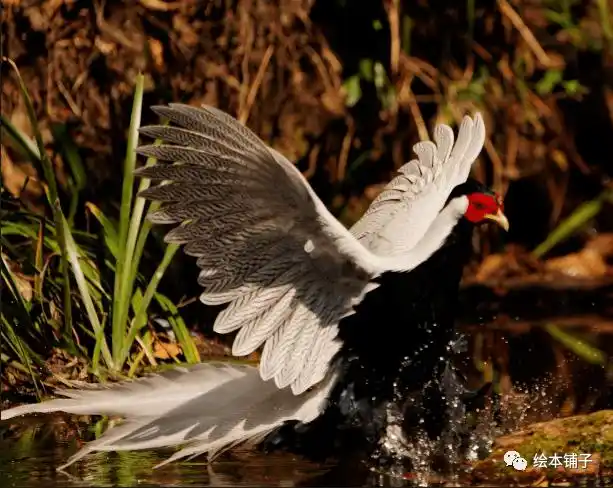 2020不再见,2021回头见