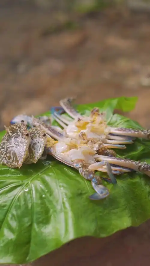 简简单单吃个竹叶蟹!_美食_美食_山村野食
