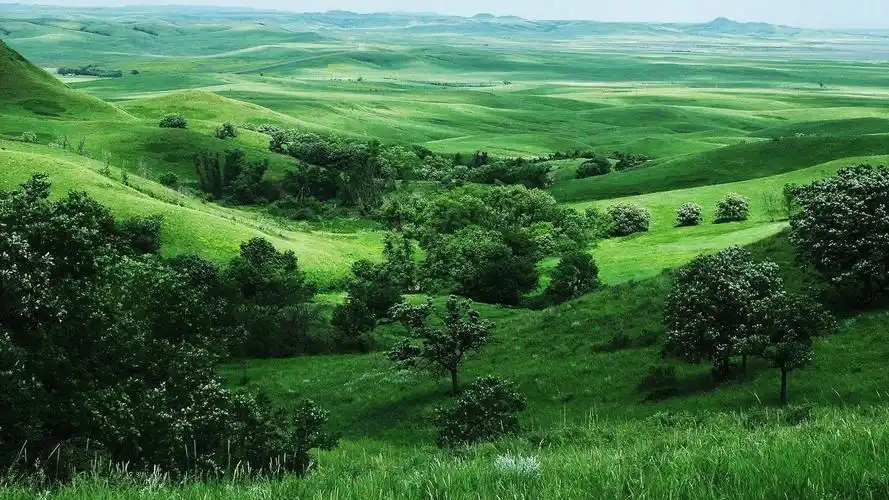 有没有好看的电脑背景图片