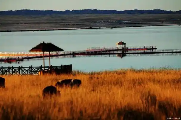 巴彦淖尔市是一个充满魅力的旅游城市,拥有许多独特的景点和自然风光.