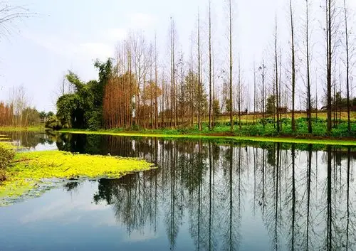 初建中的"桤木河湿地公园随拍