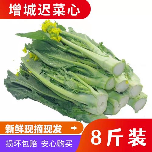 广东增城迟菜心新鲜特产小楼高脚菜心整箱送礼现摘现发好吃嫩蔬菜